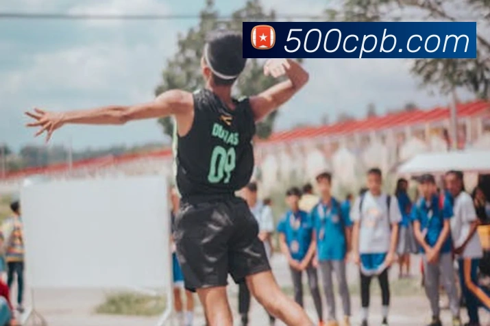 线上彩票平台平台生态图