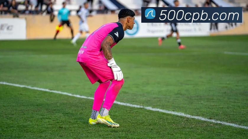 线上彩票平台APP 封面图